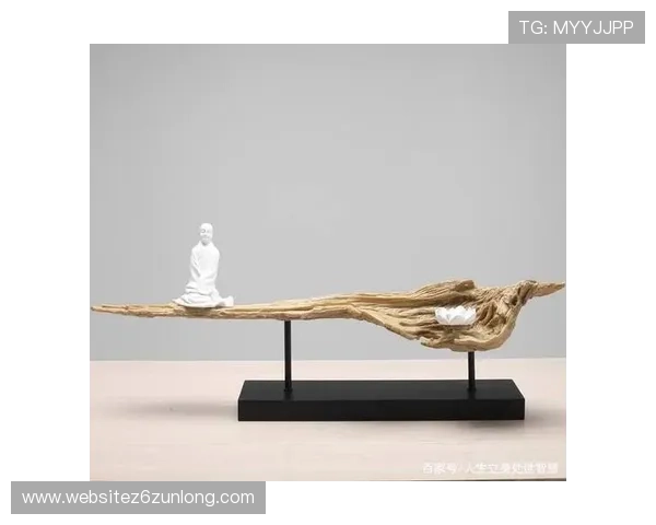 Z6人生就是博：从游戏中汲取人生智慧打造属于自己的精彩人生