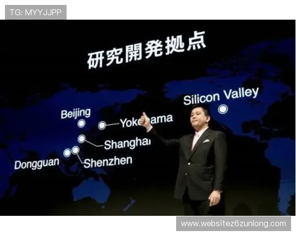 尊龙公司在全球市场中的本地化策略与文化融合探索