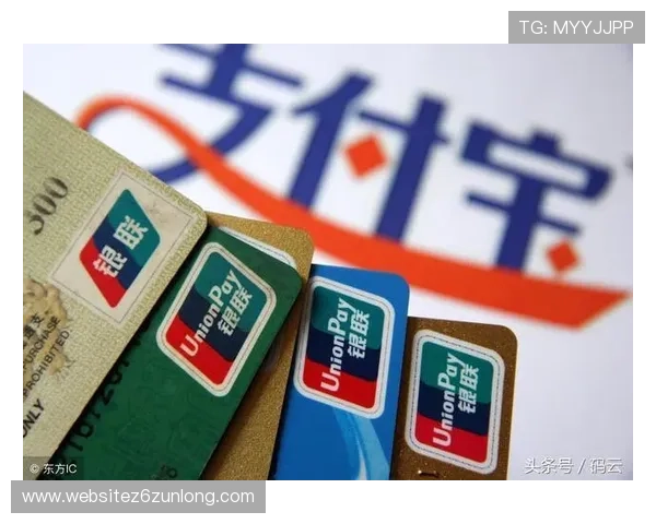 深入分析尊龙线上官网的支付方式与提现流程